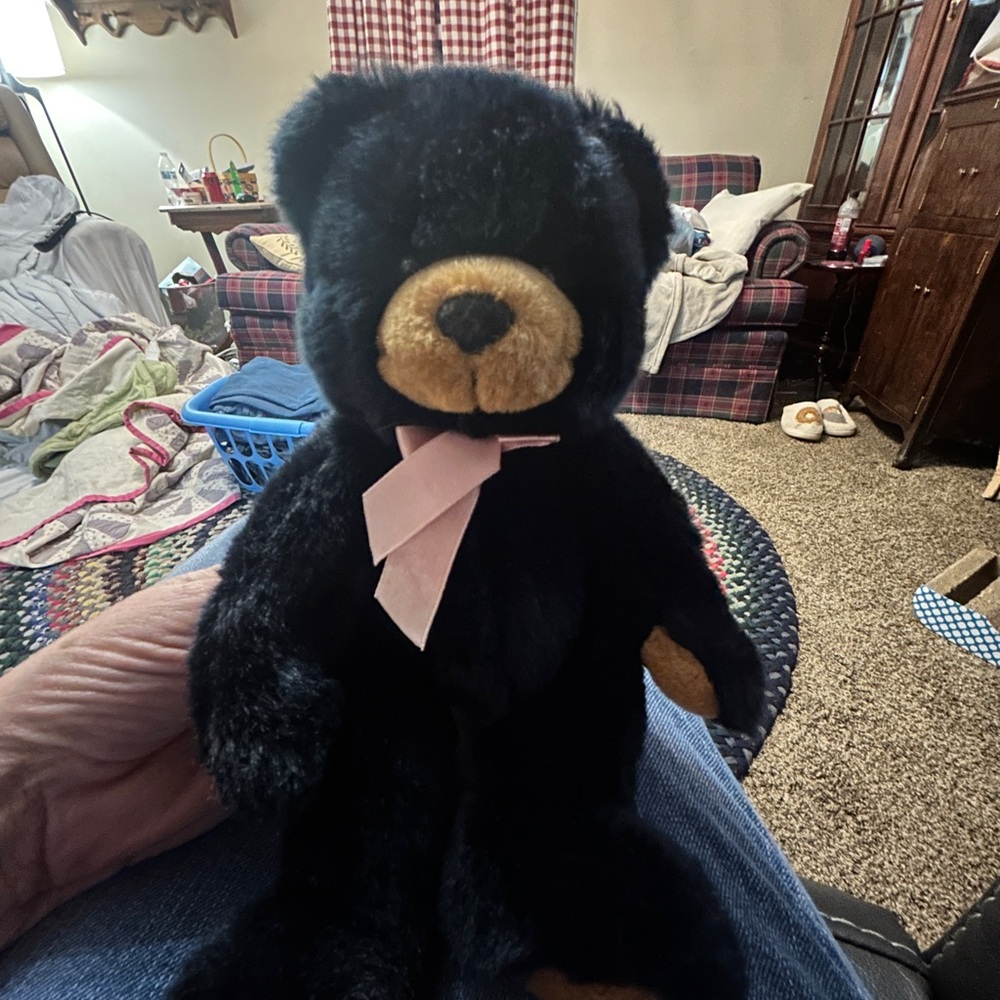 Vintage Teddy Bear Lot – Russ, Boyds & Plushland (6 Total) - Picture 7 of 10